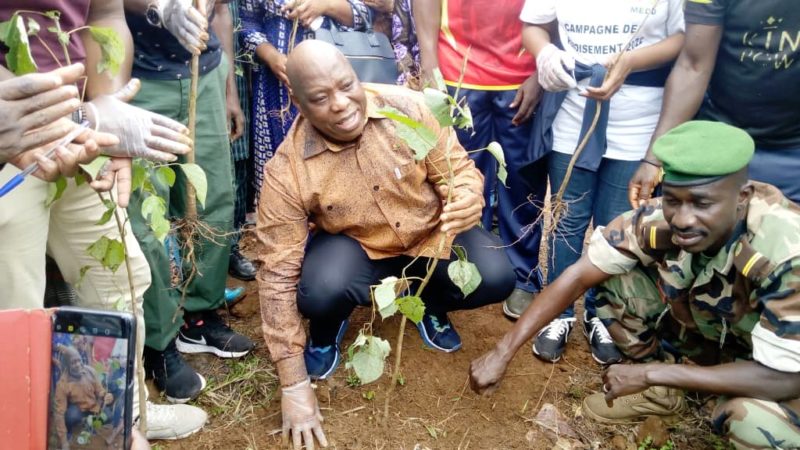 Conakry/ Réchauffement climatique :  Dr Morissanda Kouyaté accompagne l’initiative de CIPAD-Guinée