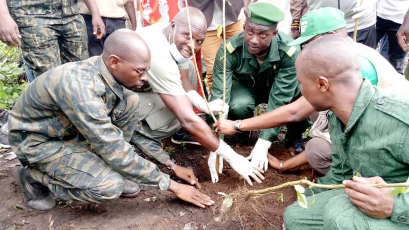 Campagne de reboisement : L’ONG CIPAD-Guinée lance sa troisième édition à Boffa.