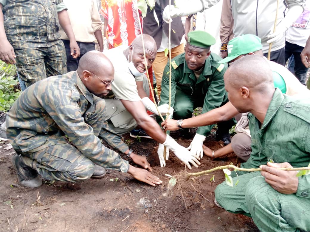 Campagne de reboisement : L’ONG CIPAD-Guinée lance sa troisième édition à Boffa.