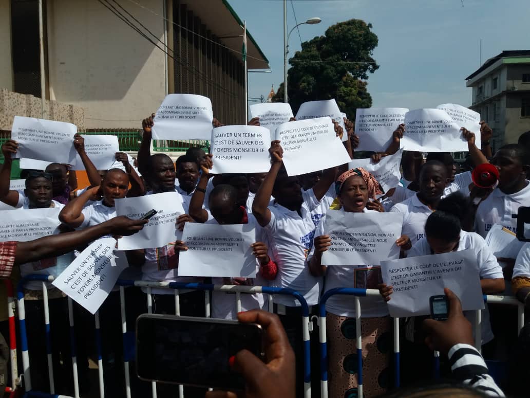 Palais Mohamed V: 111 victimes de la grippe aviaire ont tenu un sit-in.