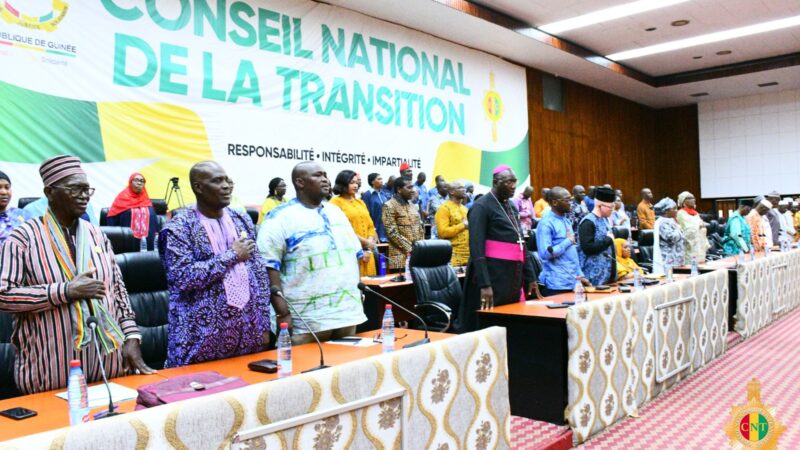 CNT: les conseillers nationaux de transition ratifient deux conventions sur l’enseignement supérieur et les télécommunications.