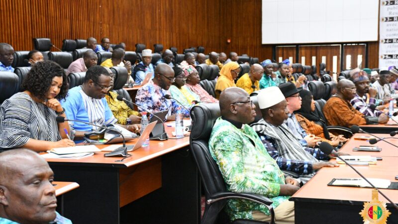 Guinée: le CNT adopte le document de program