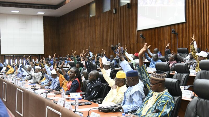 CNT: Loi spéciale relative au référendum constitutionnel approuvée à l&rsquo;inaminité des conseillers présents.