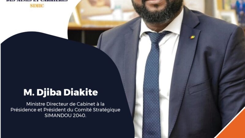 M. DJIBA DIAKITE, l’Architecte de nos aspirations émergentes dans l’industrie minière en Guinée.