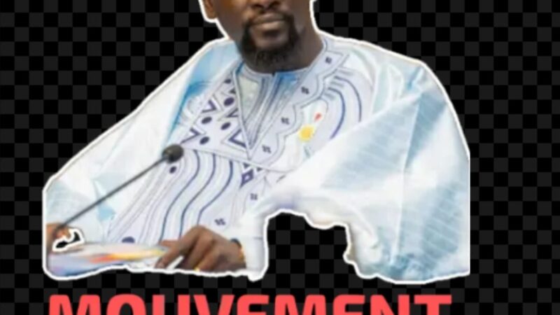 Sogué Nènè: le Conseil des Guinéens vivants au Sénégal décline leurs programmes et perspectives pour l&rsquo;intérêt du mouvement