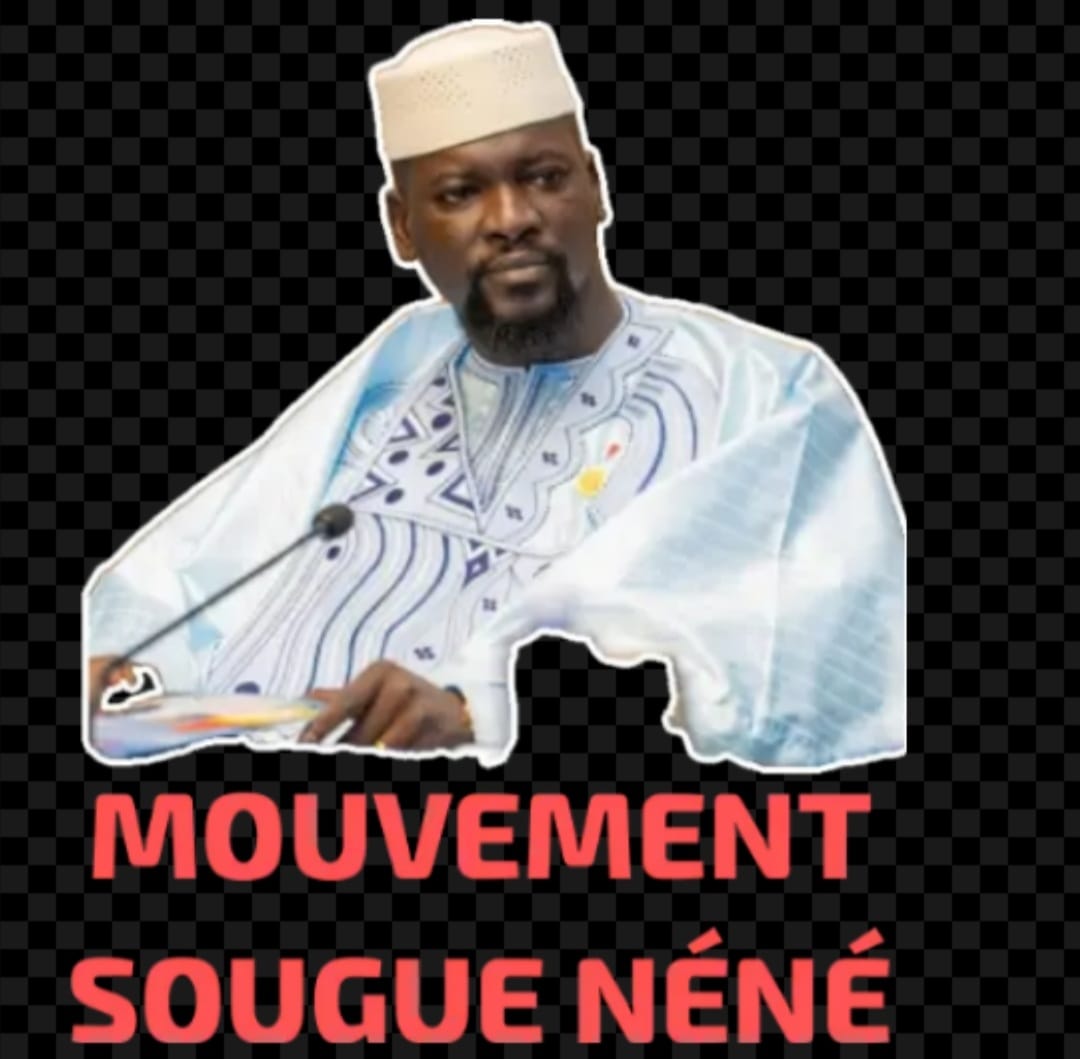 Sogué Nènè: le Conseil des Guinéens vivants au Sénégal décline leurs programmes et perspectives pour l&rsquo;intérêt du mouvement