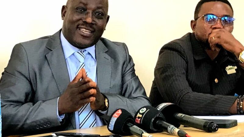 Développement local : un ressortissant de la diaspora transforme son village natal à Pita