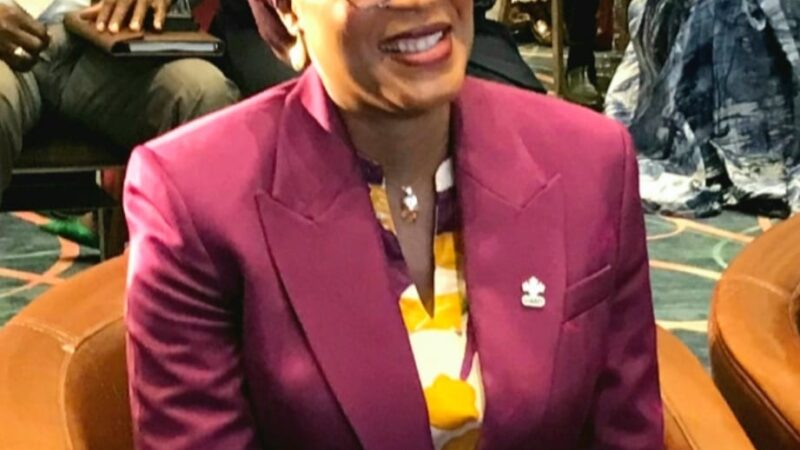 Démission du gouvernement : Dre Diaka Sidibé exprime sa gratitude au Président Mamadi Doumbouya