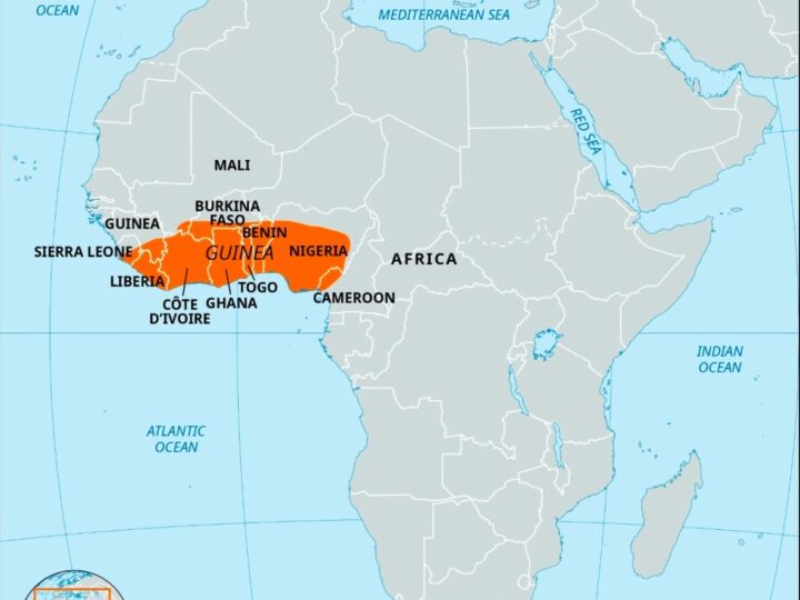 Tribune: Défendre la Guinée, la Dignité, la Souveraineté et la Fierté Nationale ( Dr David Makongo)