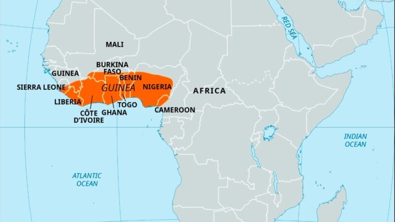 Tribune: Défendre la Guinée, la Dignité, la Souveraineté et la Fierté Nationale ( Dr David Makongo)