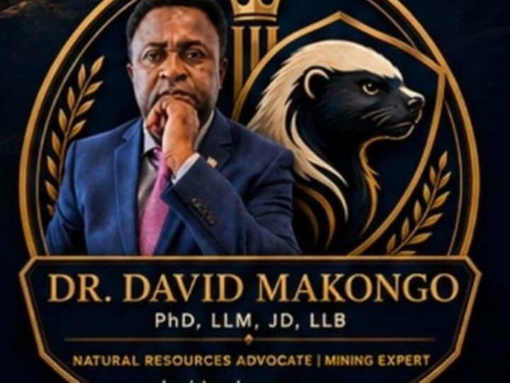 LA VISION MINIÈRE DU DR DAVID MAKONGO POUR LE CAMEROUN: De l’extraction de l’or à l’industrialisation nationale