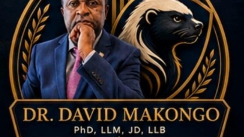 LA VISION MINIÈRE DU DR DAVID MAKONGO POUR LE CAMEROUN: De l’extraction de l’or à l’industrialisation nationale