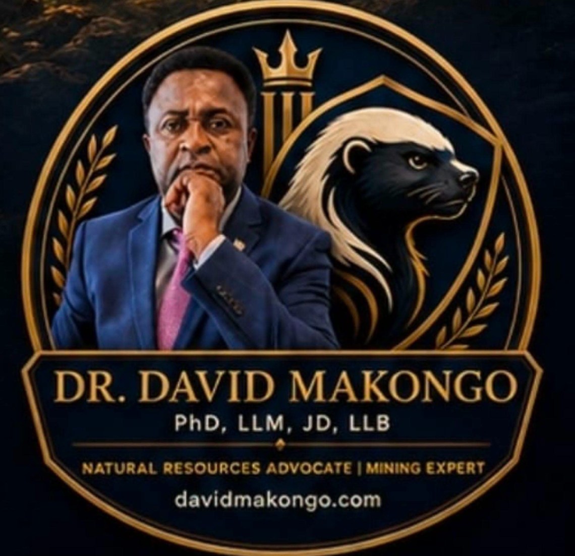 LA VISION MINIÈRE DU DR DAVID MAKONGO POUR LE CAMEROUN: De l’extraction de l’or à l’industrialisation nationale