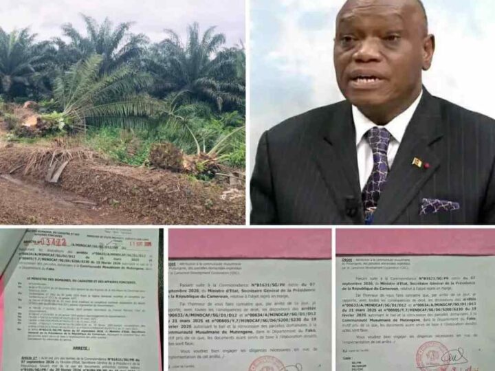DR DAVID MAKONGO A RUGI AU CAMEROUN ET OBTENU UNE VICTOIRE POUR LE PEUPLE FAKO : LA CESSION DES TERRES DE LA CDC A ÉTÉ ANNULÉE