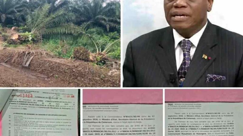 DR DAVID MAKONGO A RUGI AU CAMEROUN ET OBTENU UNE VICTOIRE POUR LE PEUPLE FAKO : LA CESSION DES TERRES DE LA CDC A ÉTÉ ANNULÉE