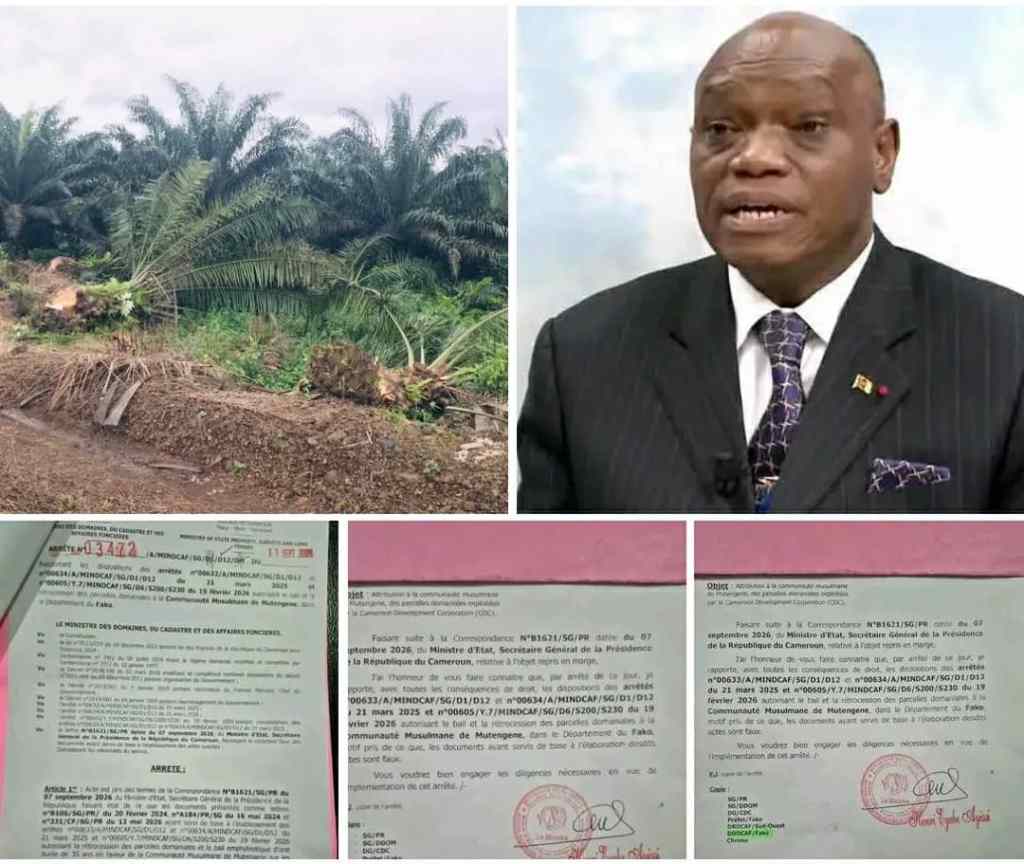 DR DAVID MAKONGO A RUGI AU CAMEROUN ET OBTENU UNE VICTOIRE POUR LE PEUPLE FAKO : LA CESSION DES TERRES DE LA CDC A ÉTÉ ANNULÉE