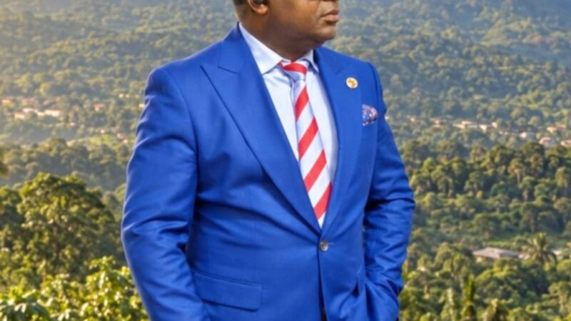 Interdiction de France24 en Guinée:  » la liberté de la presse doit être protégée, mais elle ne doit jamais devenir un permis d’insulter les dirigeants… » ( Dr David Makongo)