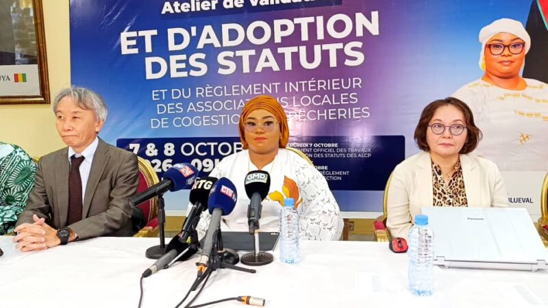 MPEM : Fatima Camara lance les travaux de validation des statuts des ALCP à Conakry